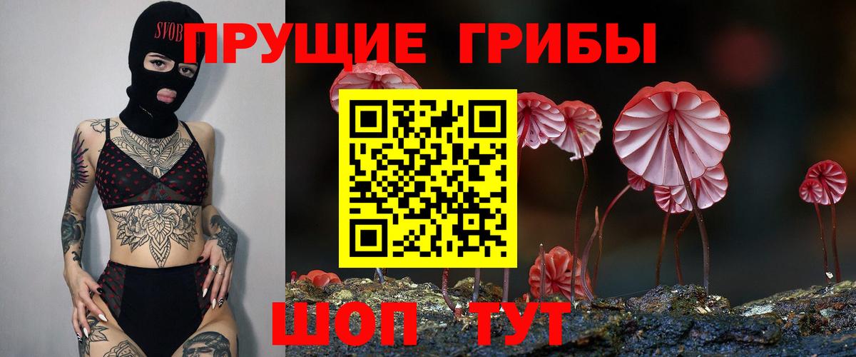 Егорьевск  Галлюциногенные грибы Psilocybe  Вход с VPN 