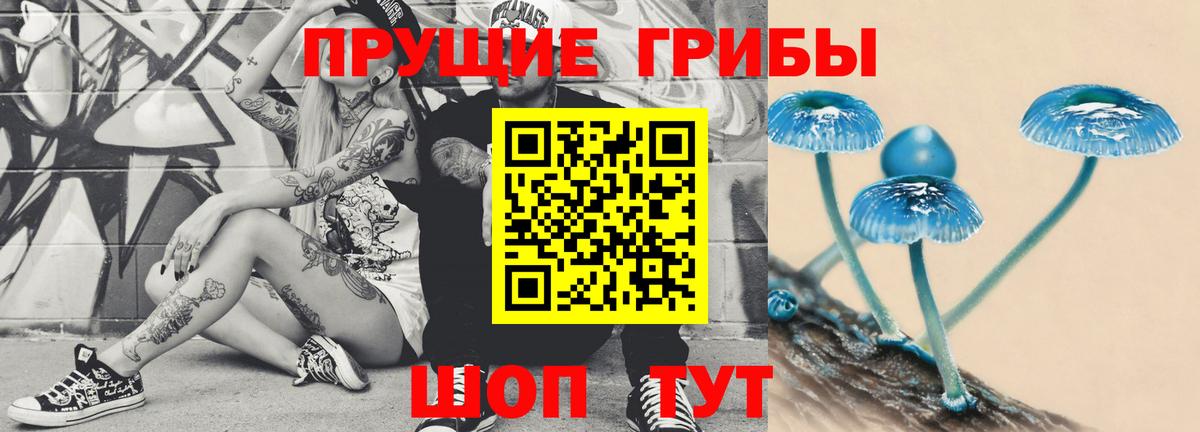 Псилоцибиновые грибы MAGIC MUSHROOMS Егорьевск